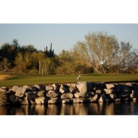 SunRidge Canyon Golf Club has a natural setting that welcomes birdlife and other wild animals. 